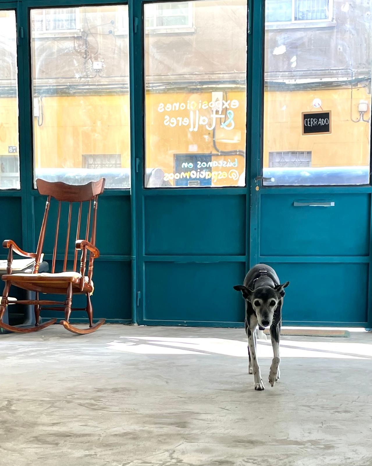 Entrada de la galería y taller Espacio Moos en Zaragoza